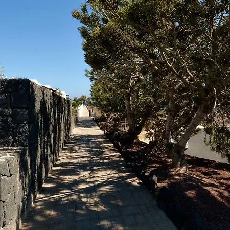 Lobos Playa Blanca (Lanzarote)